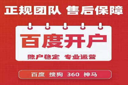 百度竞价排名之成功案例：看广告如何转化为销量